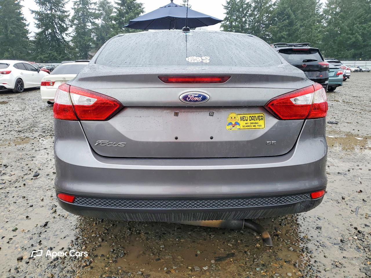 Ford Focus 2014