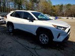 Toyota RAV 4 2020