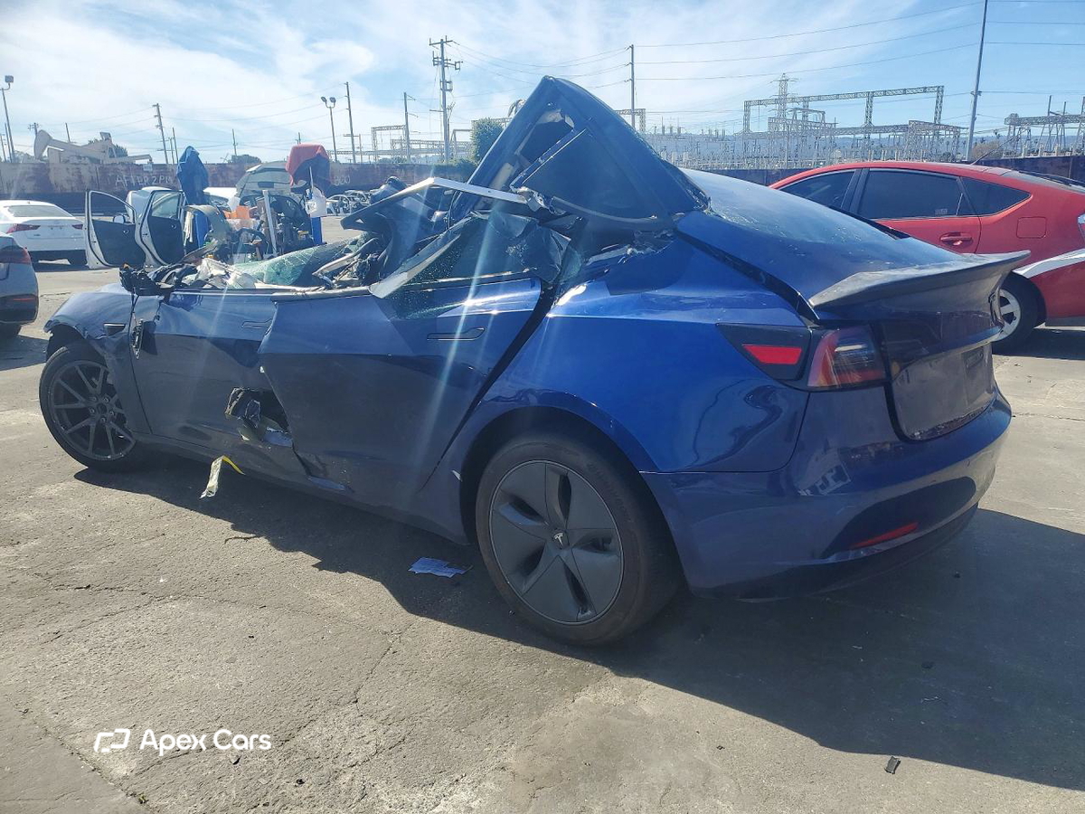 Tesla Model 3 2019