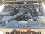 Jeep Wrangler 2010