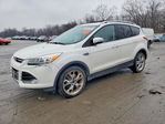 Ford Escape 2015