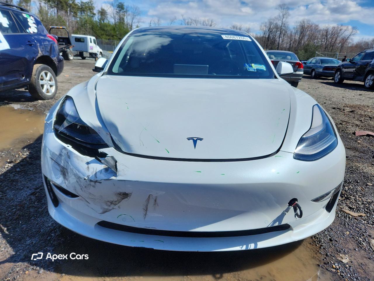 Tesla Model 3 2021