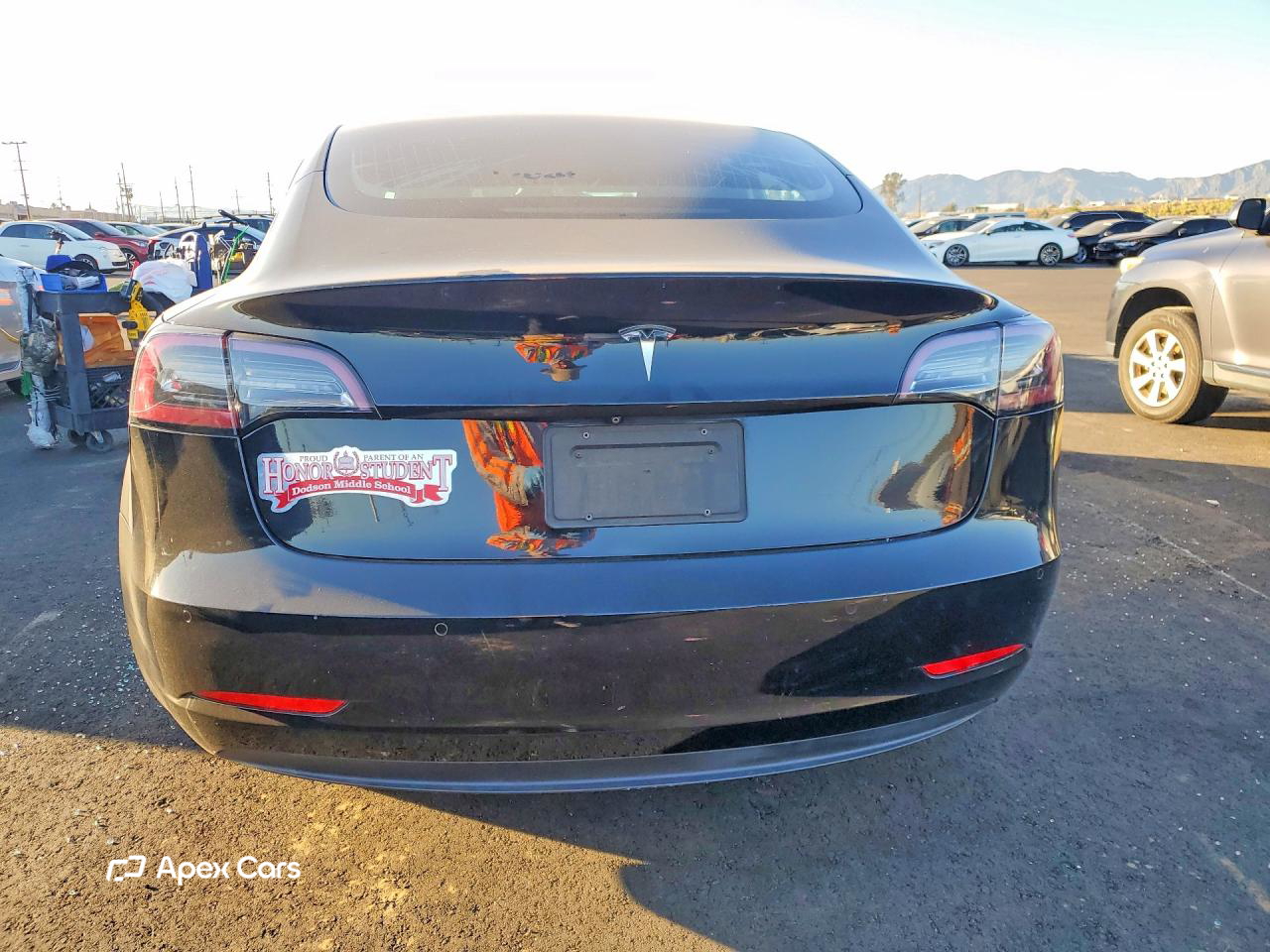 Tesla Model 3 2019