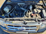 Ford Escape 2011