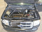 Ford Escape 2010