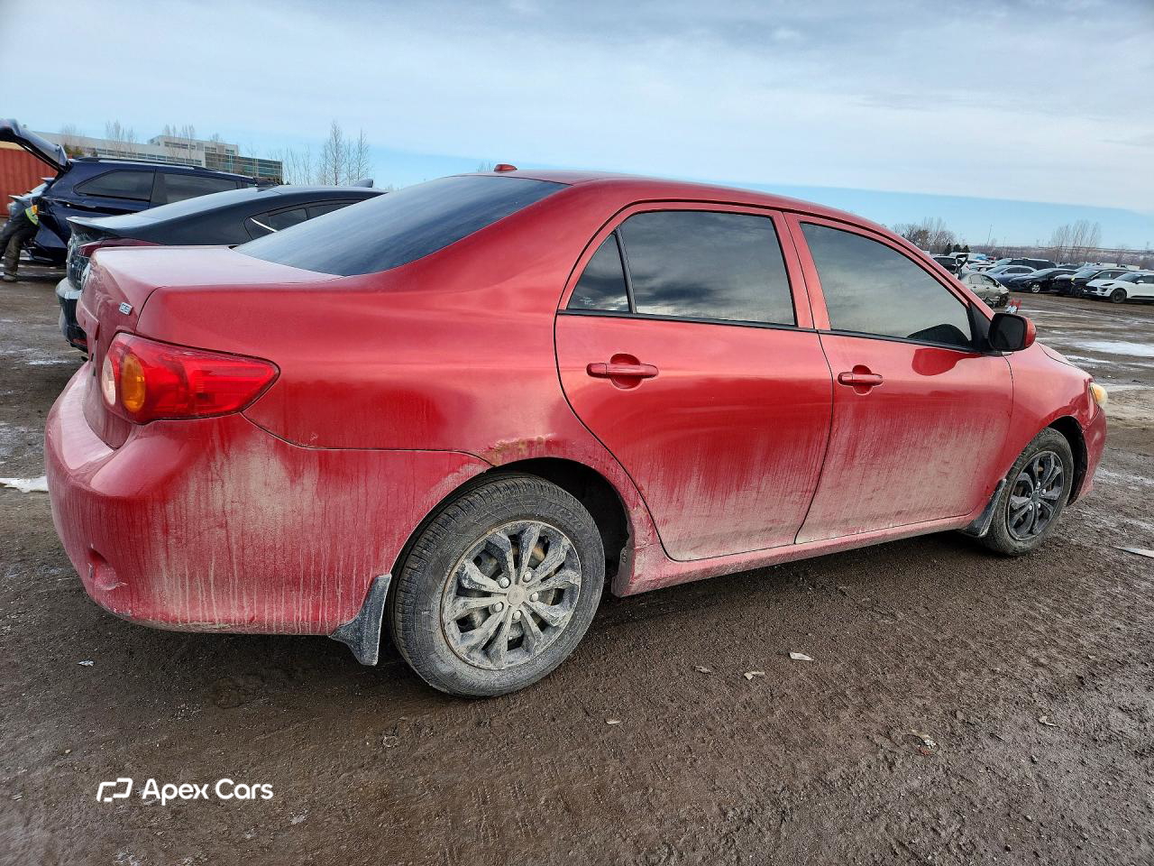 Toyota Corolla 2010