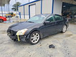 Nissan Maxima 2008