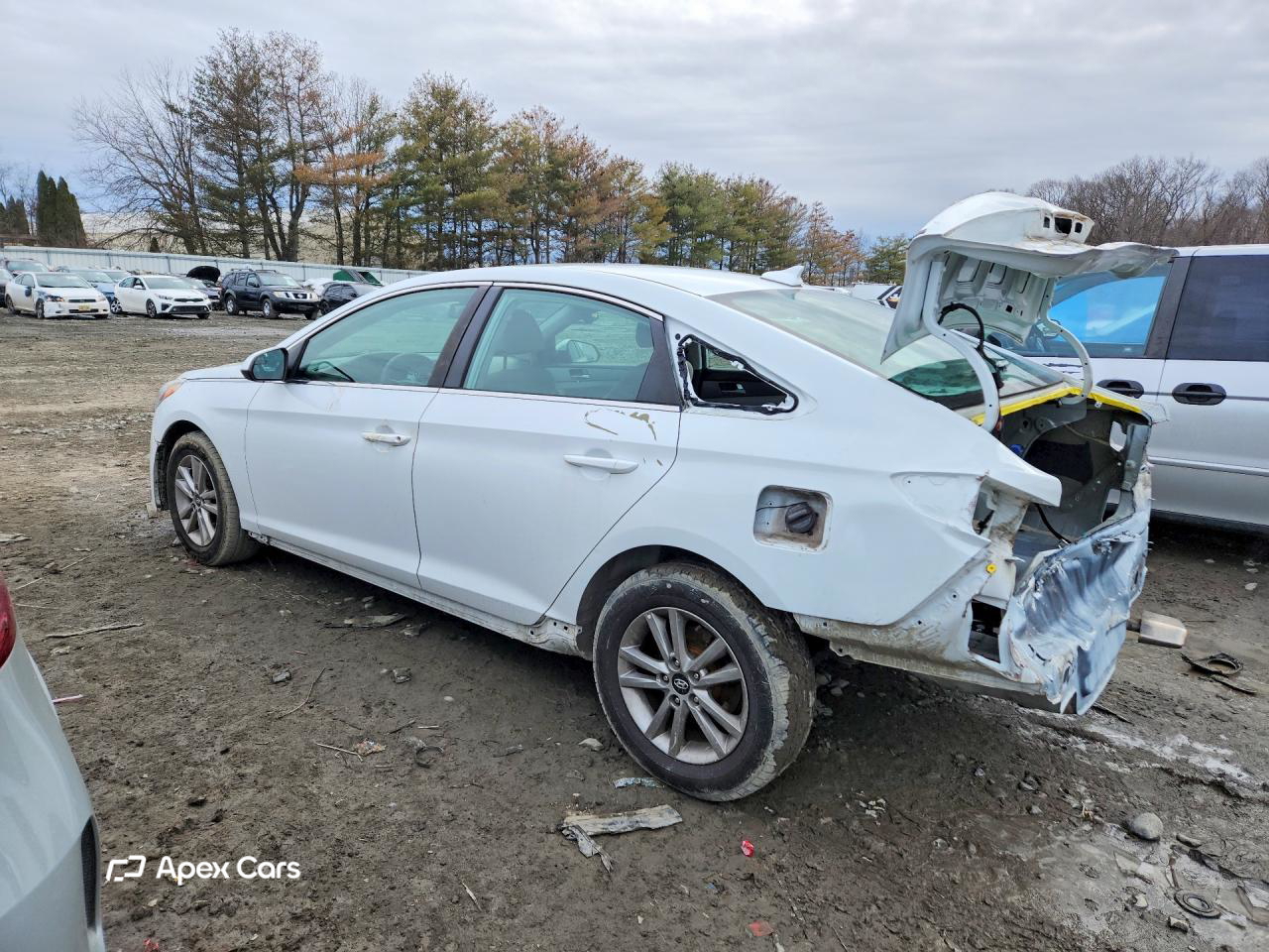 Hyundai Sonata 2016