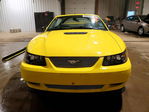 Ford Mustang 2001