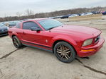 Ford Mustang 2008