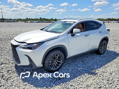 Lexus NX 2022 - Image 1 of 13