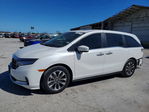 Honda Odyssey 2024
