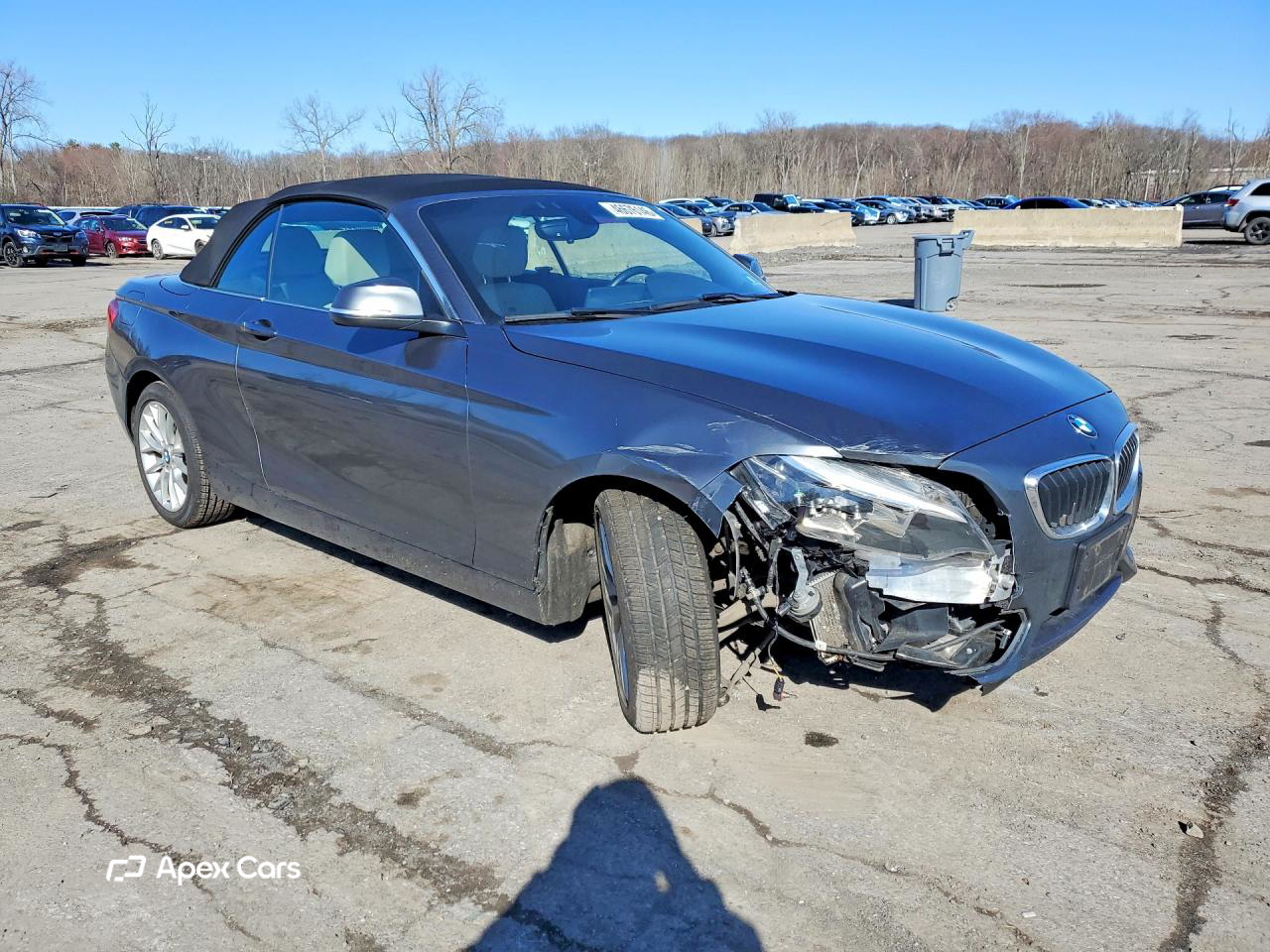 BMW Series 2 2016
