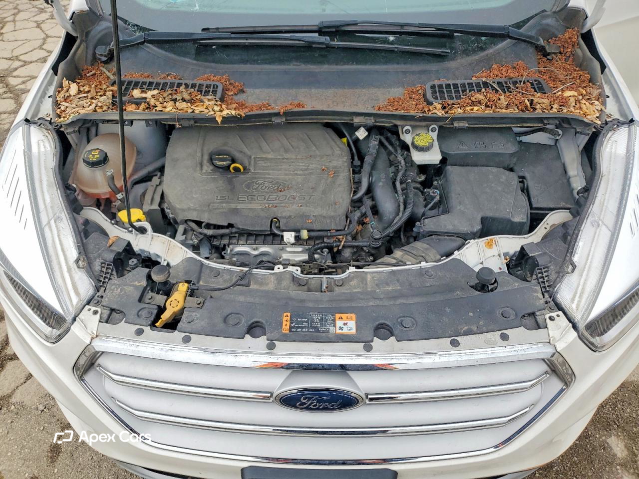 Ford Escape 2018