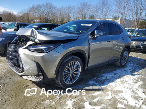 Lexus NX 2026 - Image 1 of 13