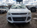 Ford Escape 2013