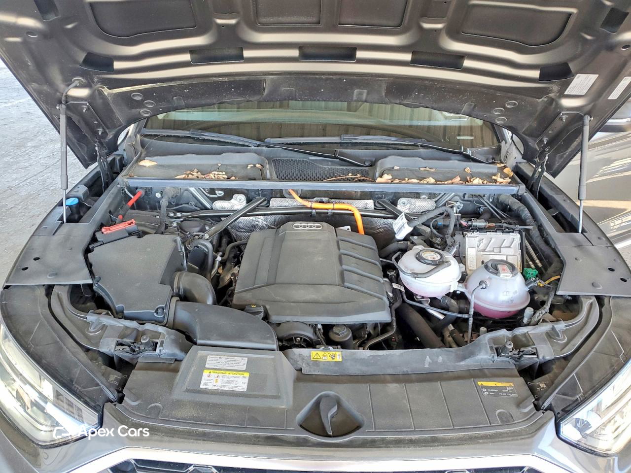 Audi Q5 2021