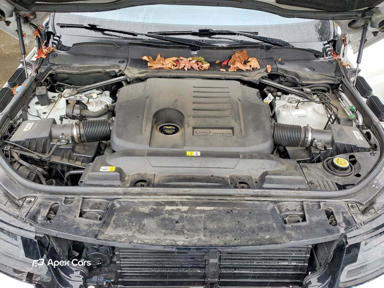 Land Rover Range Rover 2021