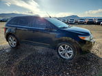 Ford Edge 2013