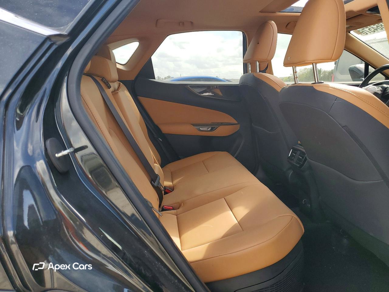 Lexus NX 2024
