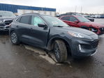 Ford Escape 2020
