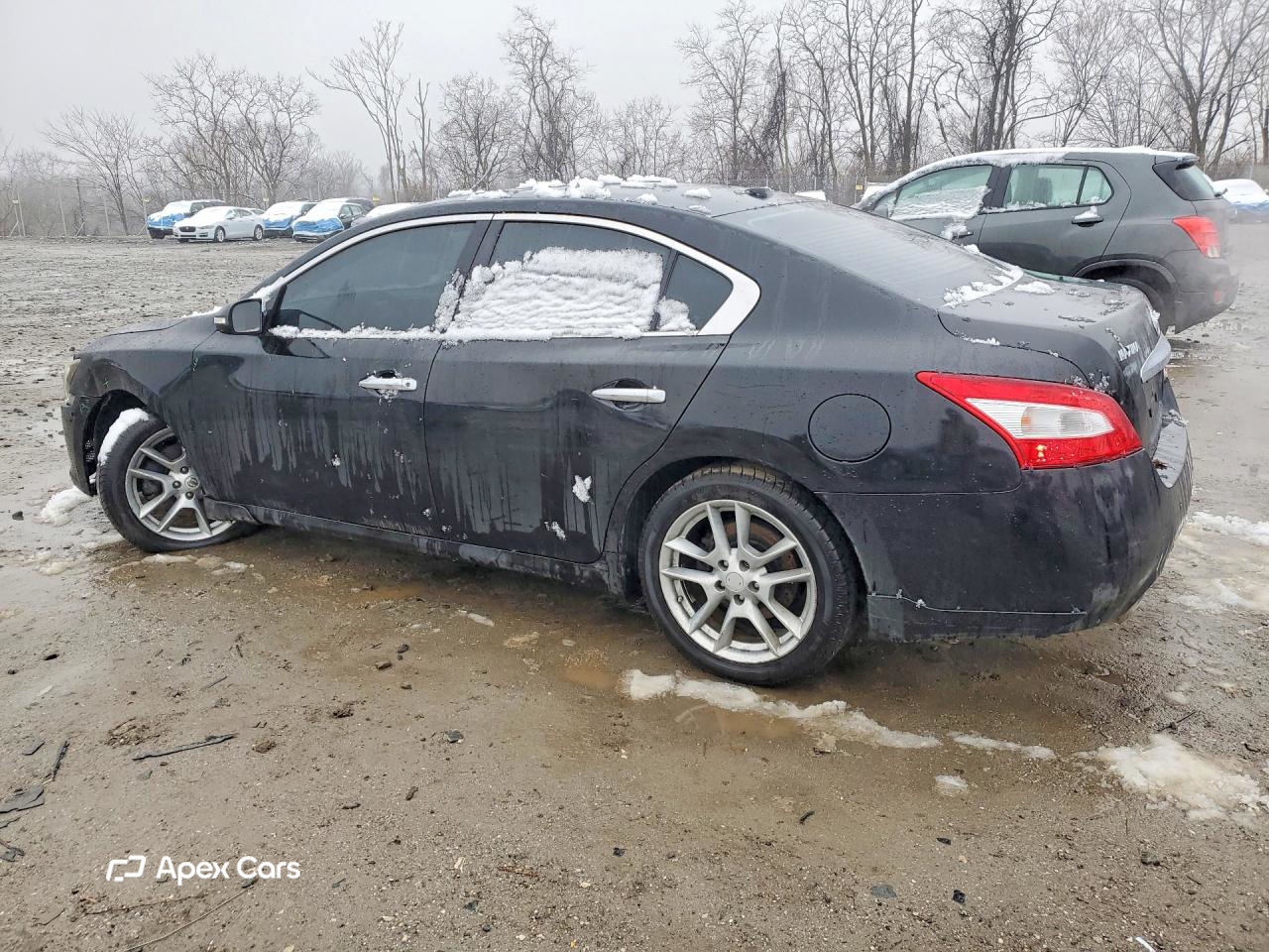 Nissan Maxima 2010