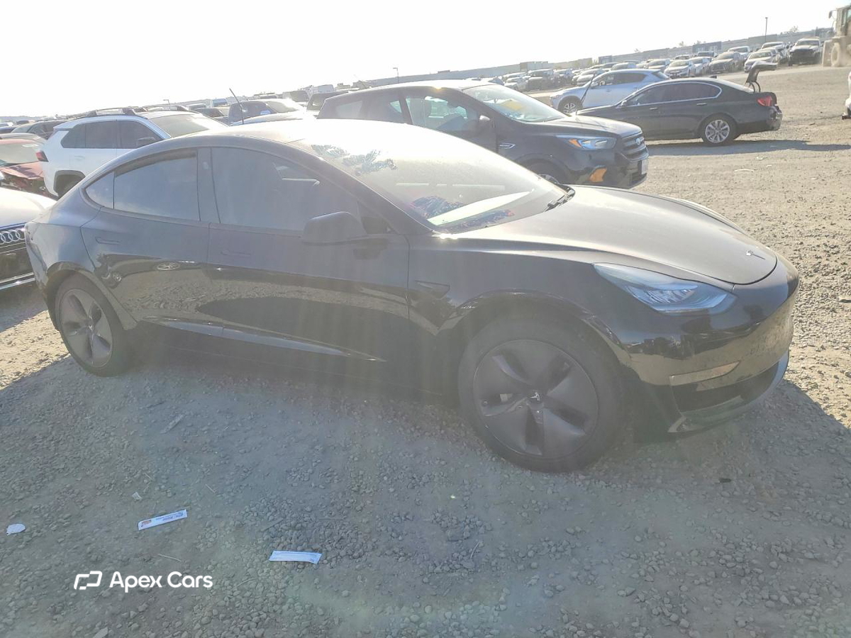Tesla Model 3 2019