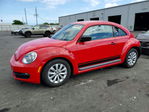 Volkswagen Beetle 2014