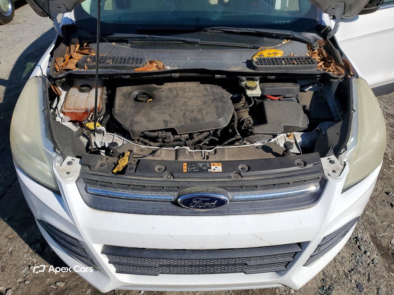 Ford Escape 2014