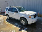 Ford Escape 2011