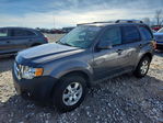 Ford Escape 2010