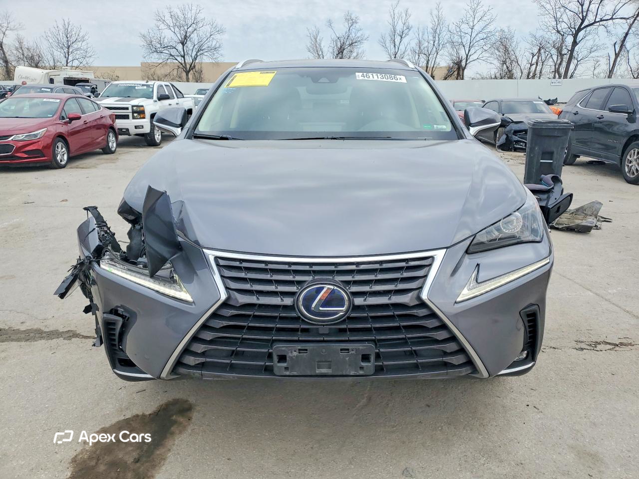 Lexus NX 2019