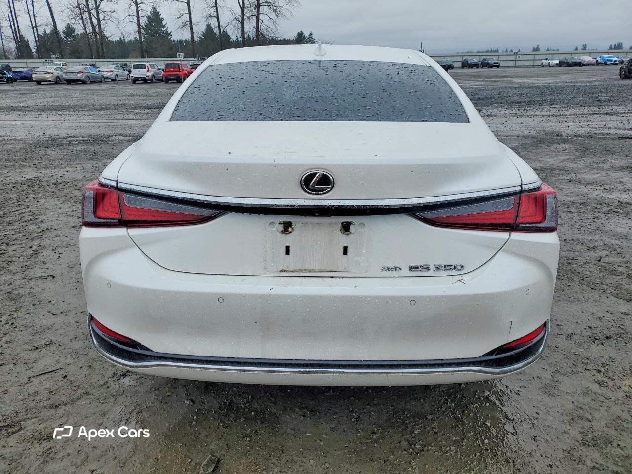 Lexus ES 2023
