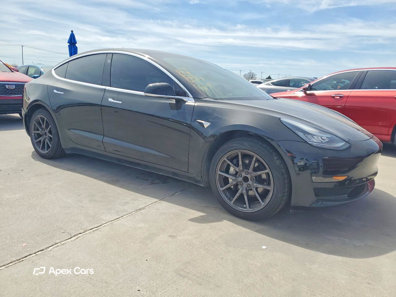 Tesla Model 3 2019