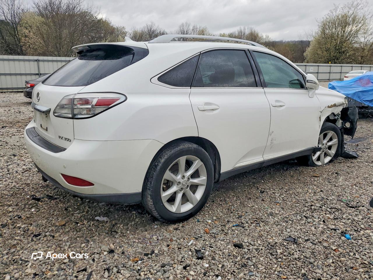 Lexus RX 2010