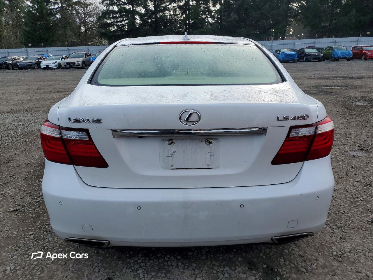 Lexus LS 2007