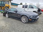 Ford Mustang 2014