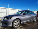 Honda Accord 2013