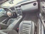 Ford Mustang 2010
