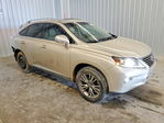 Lexus RX 2013