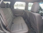 Ford Escape 2011