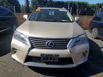 Lexus RX 2013