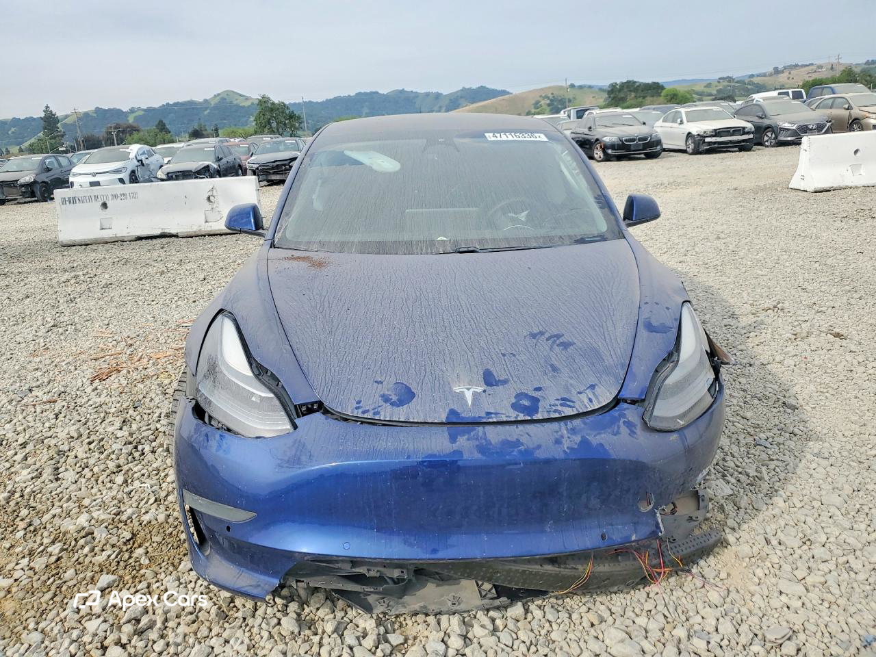 Tesla Model 3 2021
