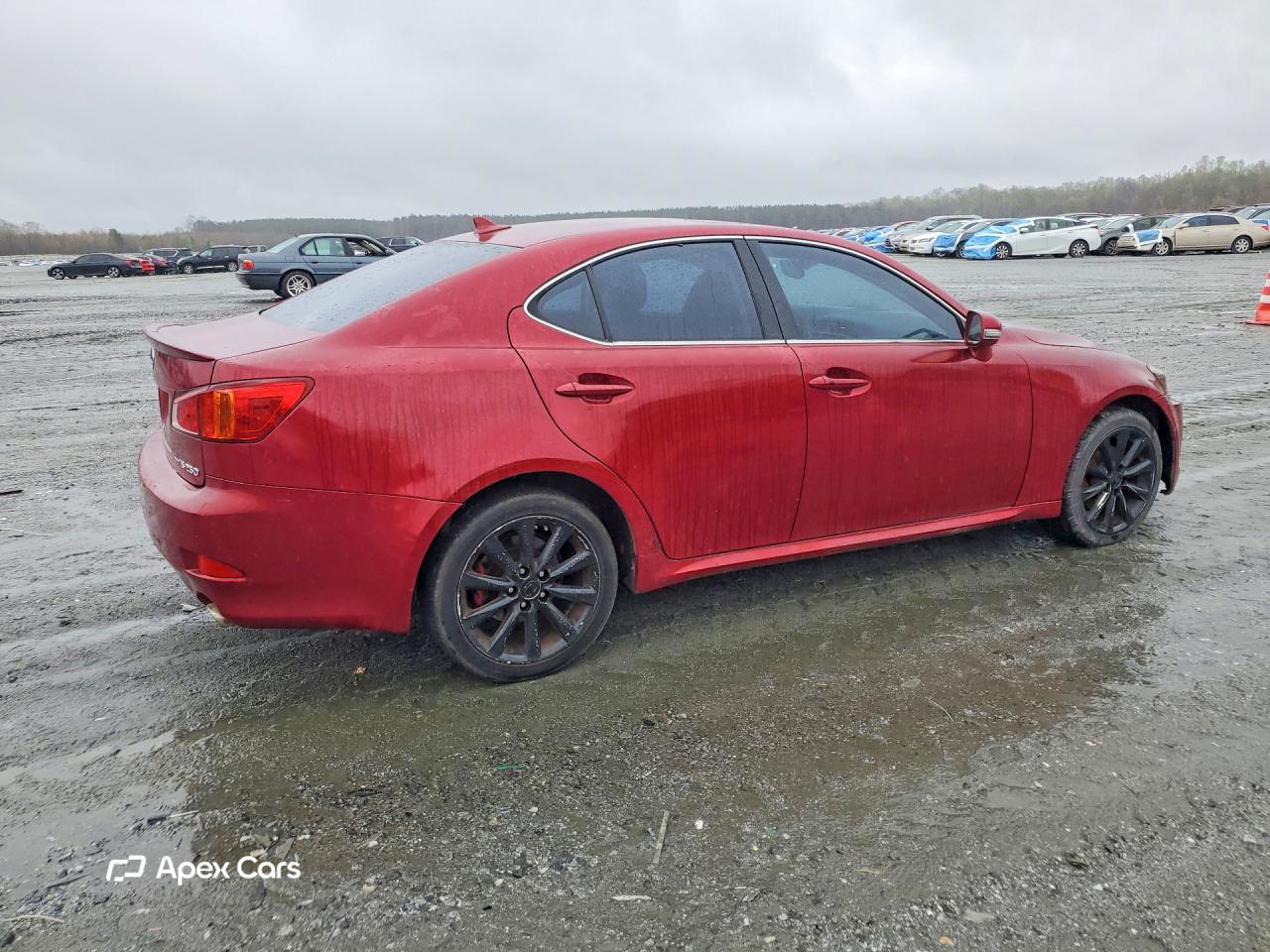 Lexus IS 2010