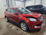 Ford Escape 2014