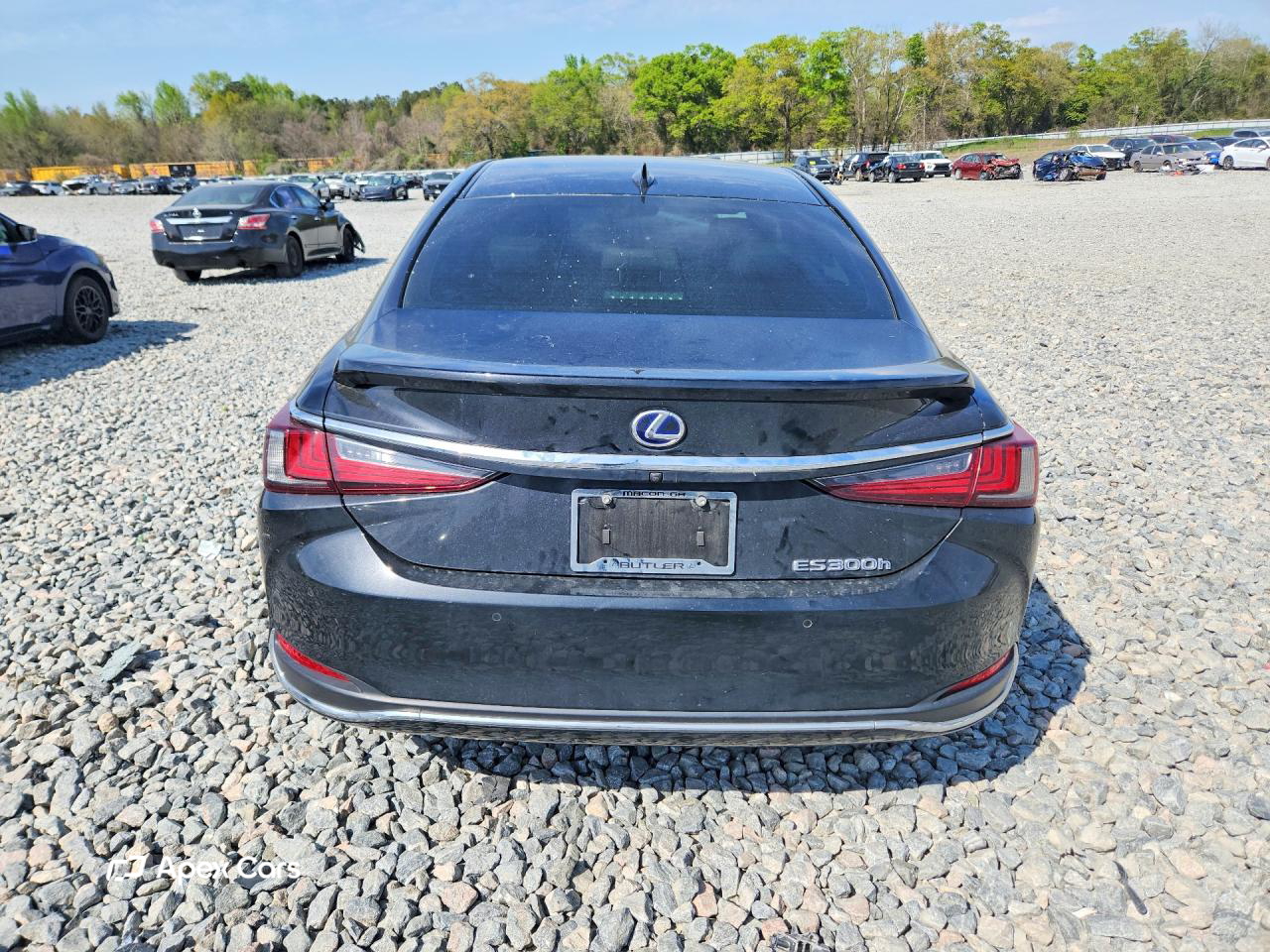 Lexus ES 2022