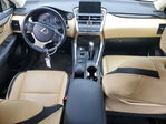 Lexus NX 2017