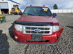 Ford Escape 2012