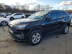 Toyota RAV 4 2021