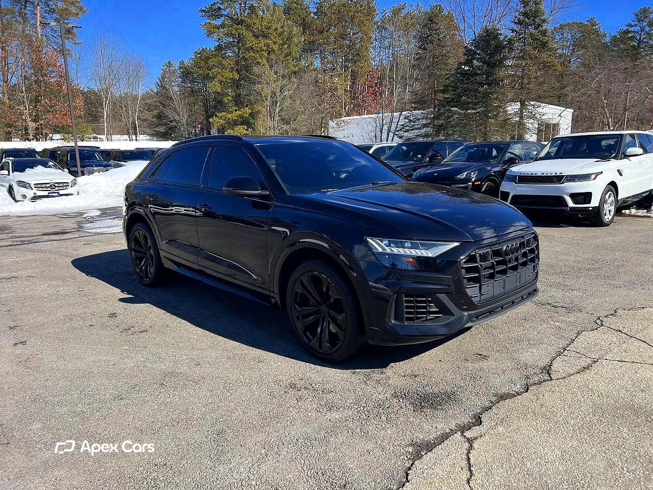 Audi Q8 2019